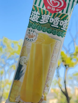 冰棍哪个好吃.png